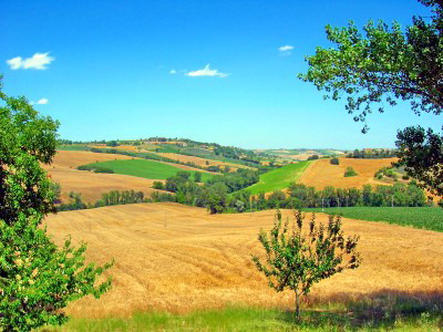 Picture of Casa Bossi