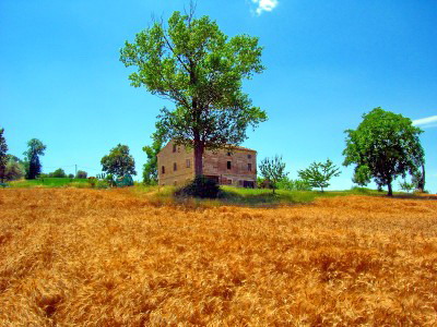 Picture of Casa Bossi