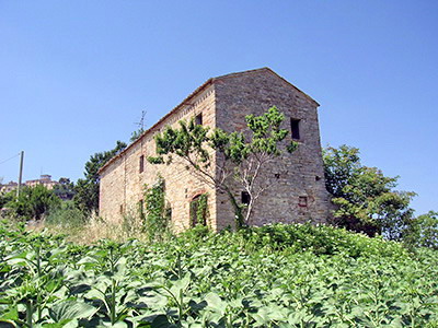 pictures. Picture pictures. Picture