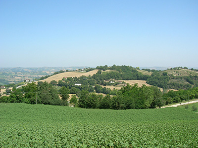 Picture of Casa Brancondi - property for sale in Le Marche Italy