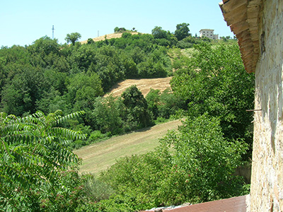 Picture of Casa Montagna